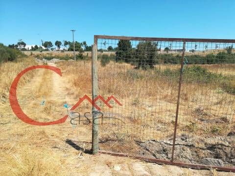 Terreno Para Construção  Venda em Guarda,Guarda