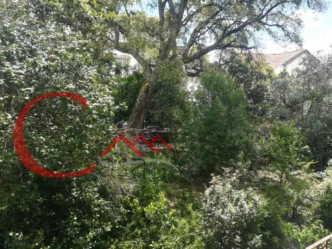 Prédio >=T10 Venda em Covilhã e Canhoso,Covilhã