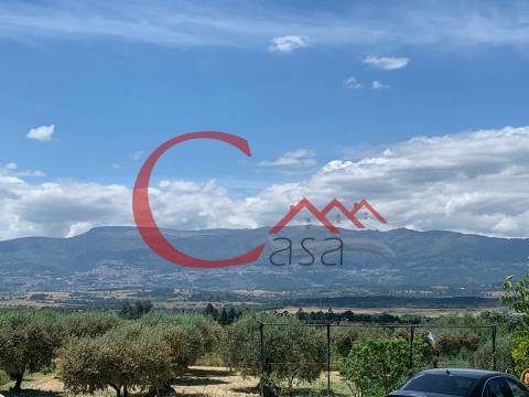 Terreno Rústico  Venda em Peraboa,Covilhã