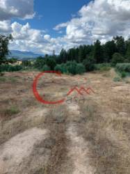 Terreno Rústico  Venda em Peraboa,Covilhã