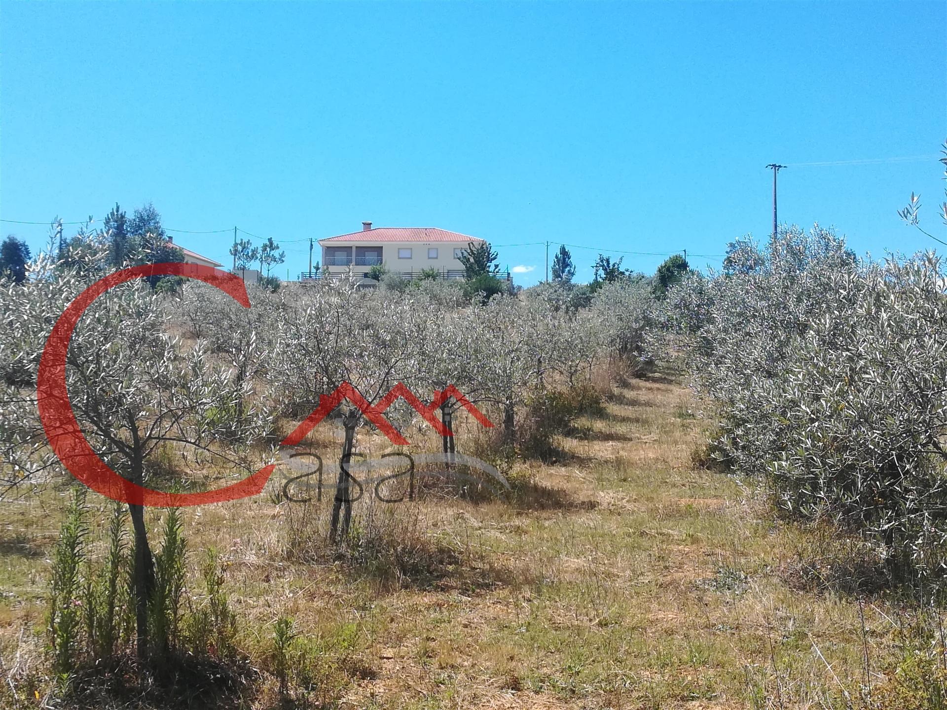 Terreno  Venda em Dominguizo,Covilhã