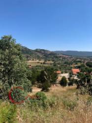 Terreno Para Construção  Venda em Monsanto e Idanha-a-Velha,Idanha-a-Nova