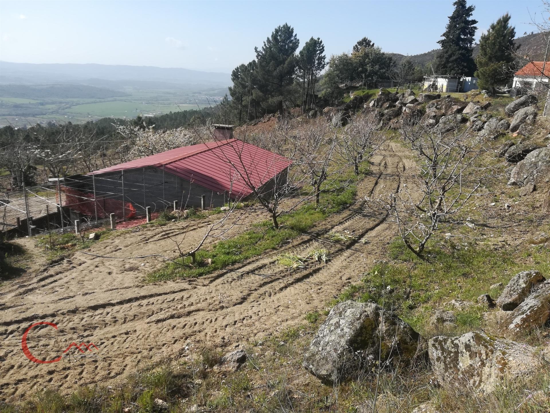 Quinta  Venda em Orjais,Covilhã