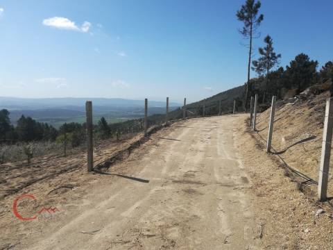 Quinta  Venda em Orjais,Covilhã