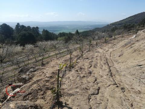 Quinta  Venda em Orjais,Covilhã
