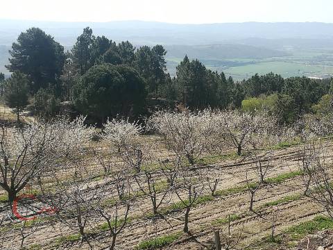 Quinta  Venda em Orjais,Covilhã