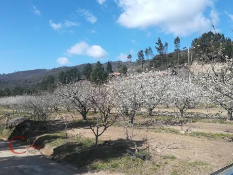 Quinta  Venda em Orjais,Covilhã