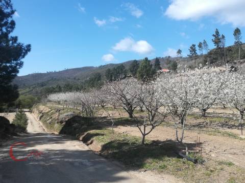 Quinta  Venda em Orjais,Covilhã