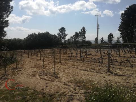 Quinta  Venda em Orjais,Covilhã