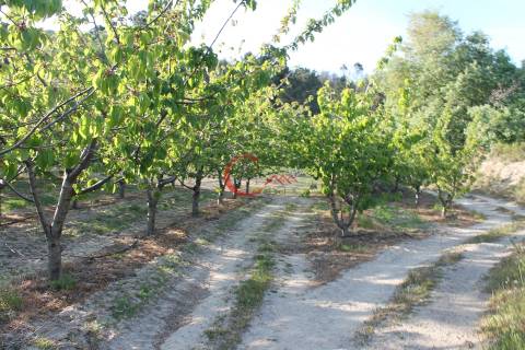 Quinta  Venda em Orjais,Covilhã