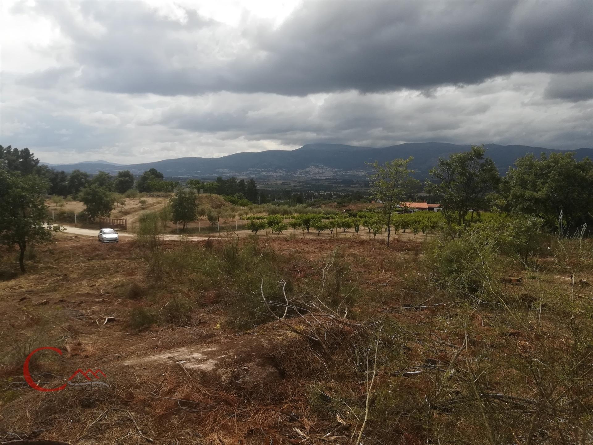 Terreno  Venda em Peraboa,Covilhã