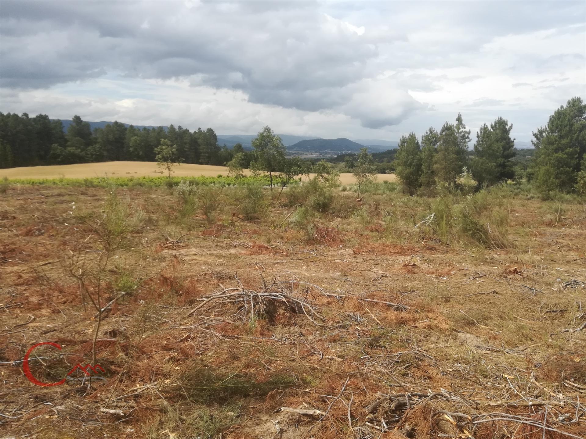 Terreno  Venda em Peraboa,Covilhã