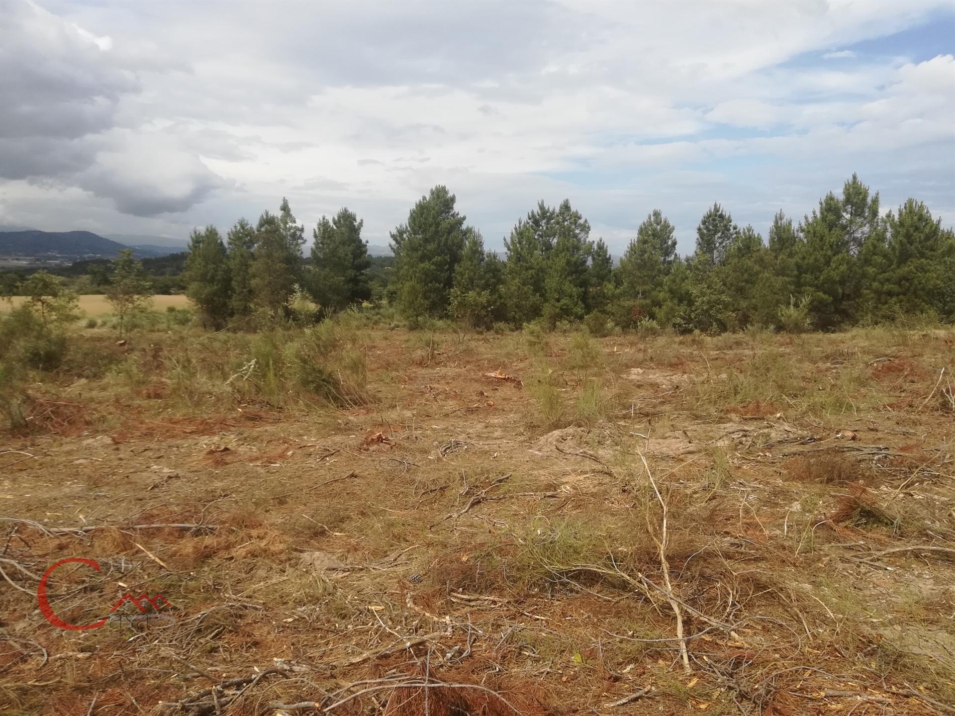 Terreno  Venda em Peraboa,Covilhã