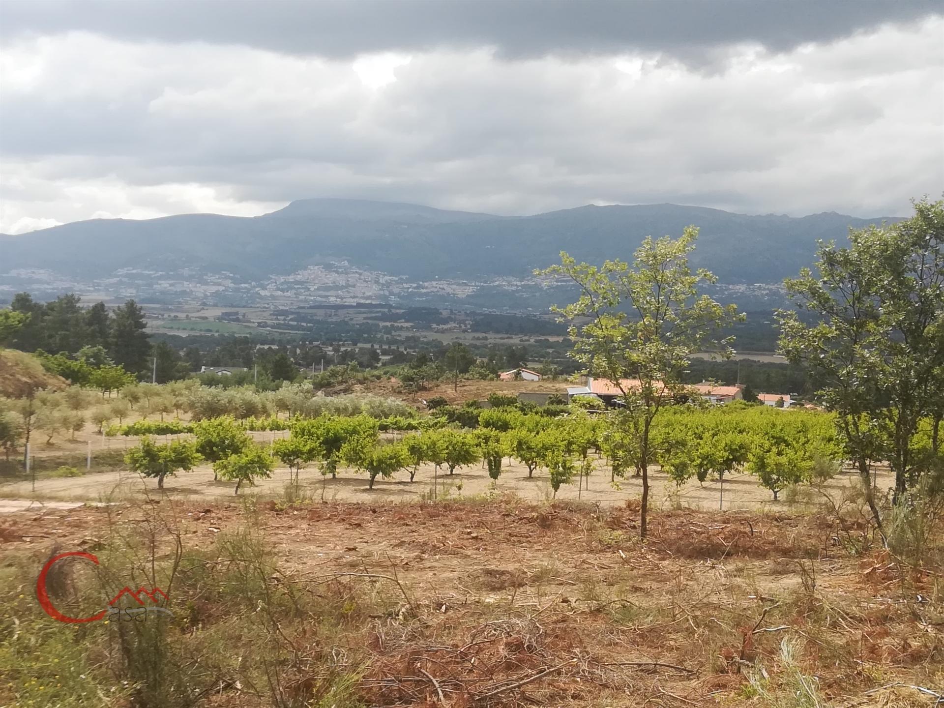 Terreno  Venda em Peraboa,Covilhã