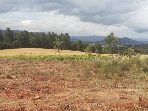 Terreno  Venda em Peraboa,Covilhã