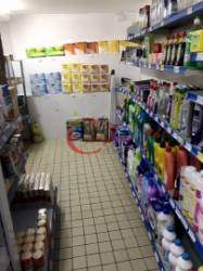 LOJA - CEDÊNCIA EXPLORAÇÃO