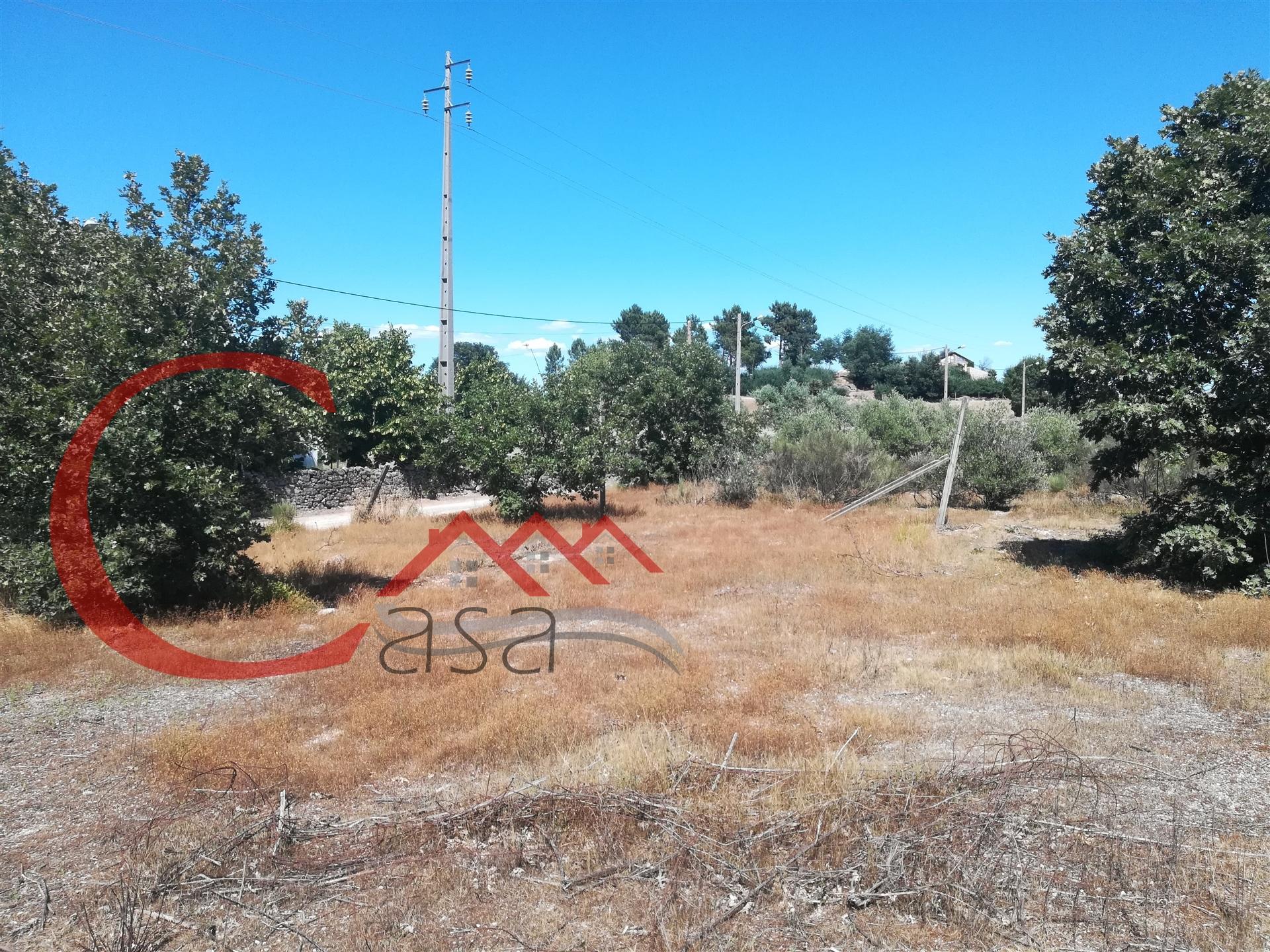 Lote de Terreno  Venda em Boidobra,Covilhã