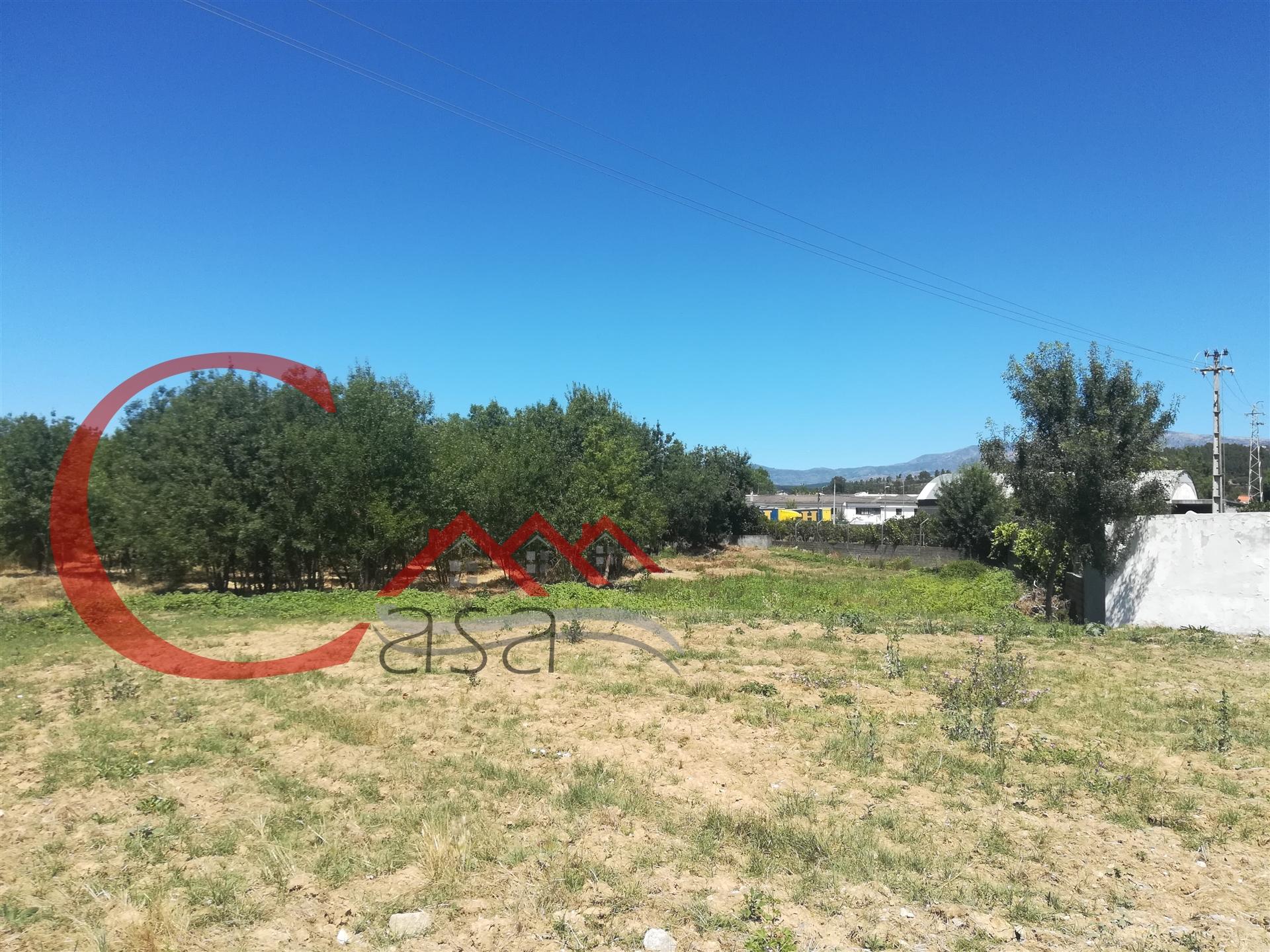 Lote de Terreno  Venda em Alcaria,Fundão