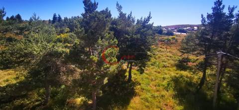 Andar Moradia T3 Venda em Cortes do Meio,Covilhã