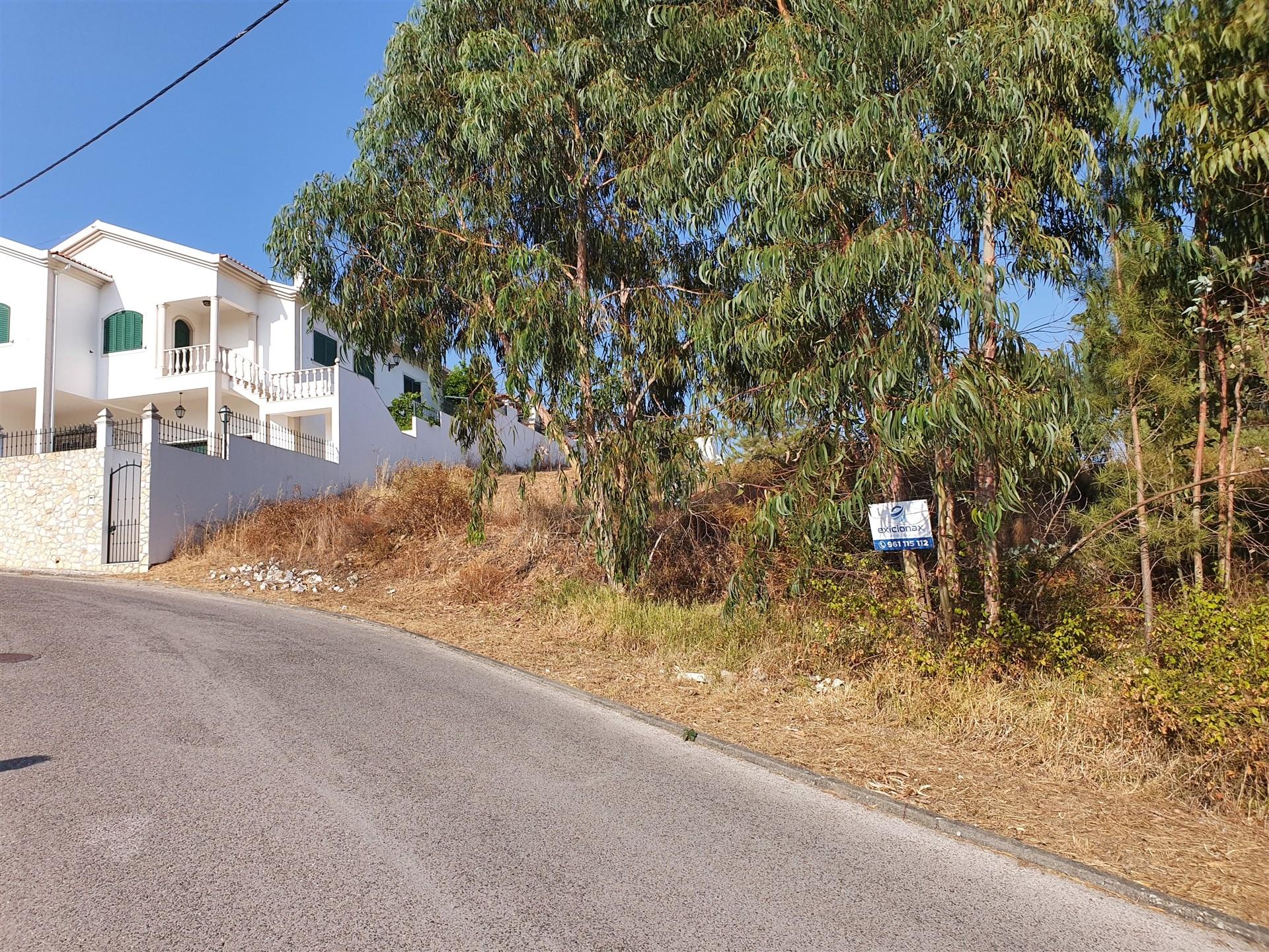 Terreno Para Construção  Venda em Abrantes (São Vicente e São João) e Alferrarede,Abrantes