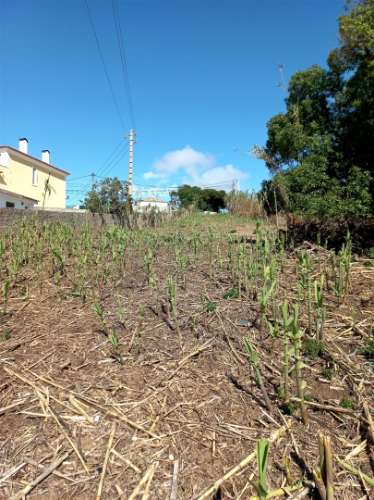 Terreno Urbano Sintra