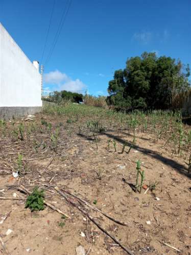 Terreno Urbano Sintra