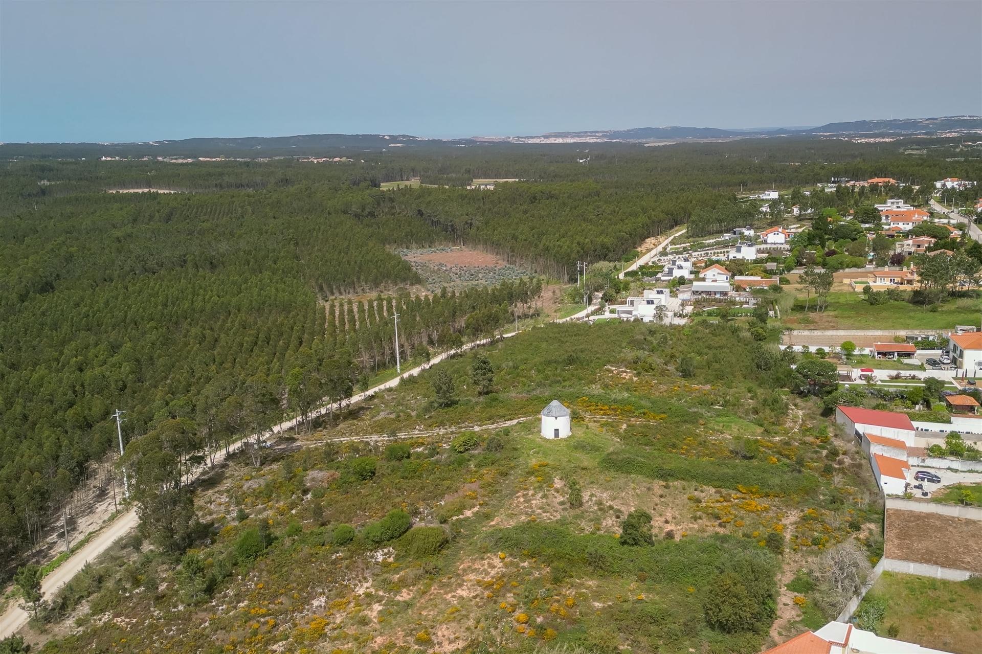 Terreno em Caldas da Rainha.