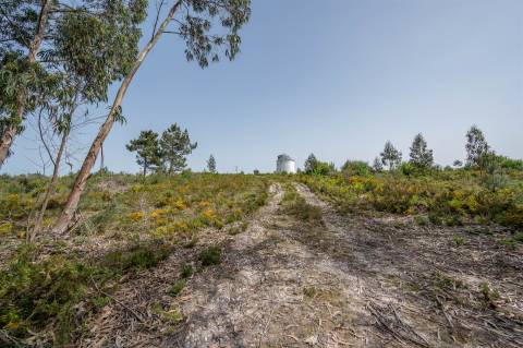 Terreno em Caldas da Rainha.