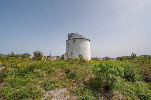 Terreno em Caldas da Rainha.