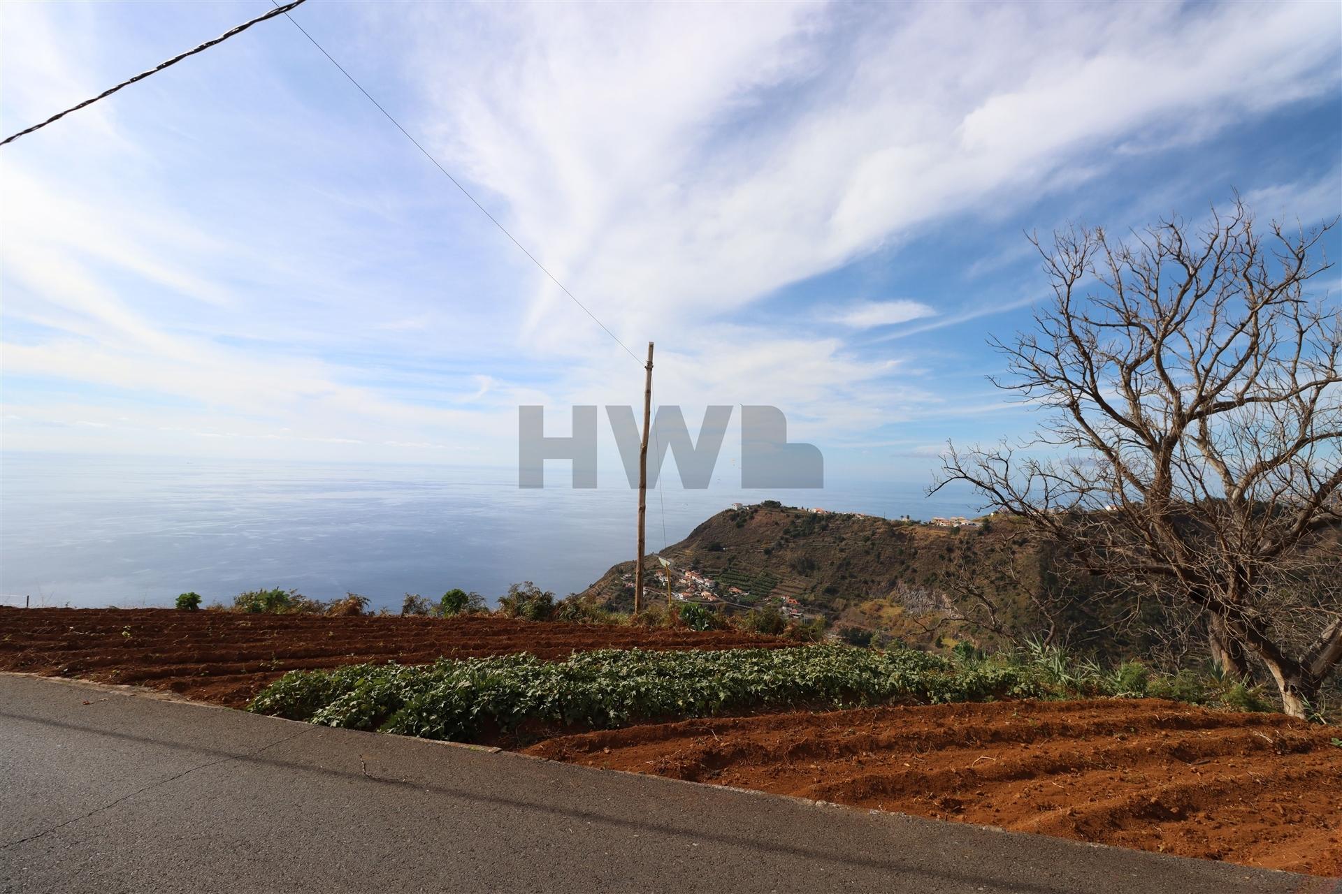 Terreno  Venda em Canhas,Ponta do Sol