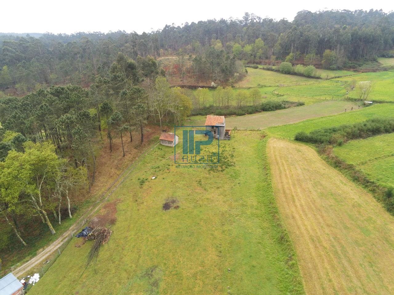 Terreno Misto  Venda em Borba de Montanha,Celorico de Basto