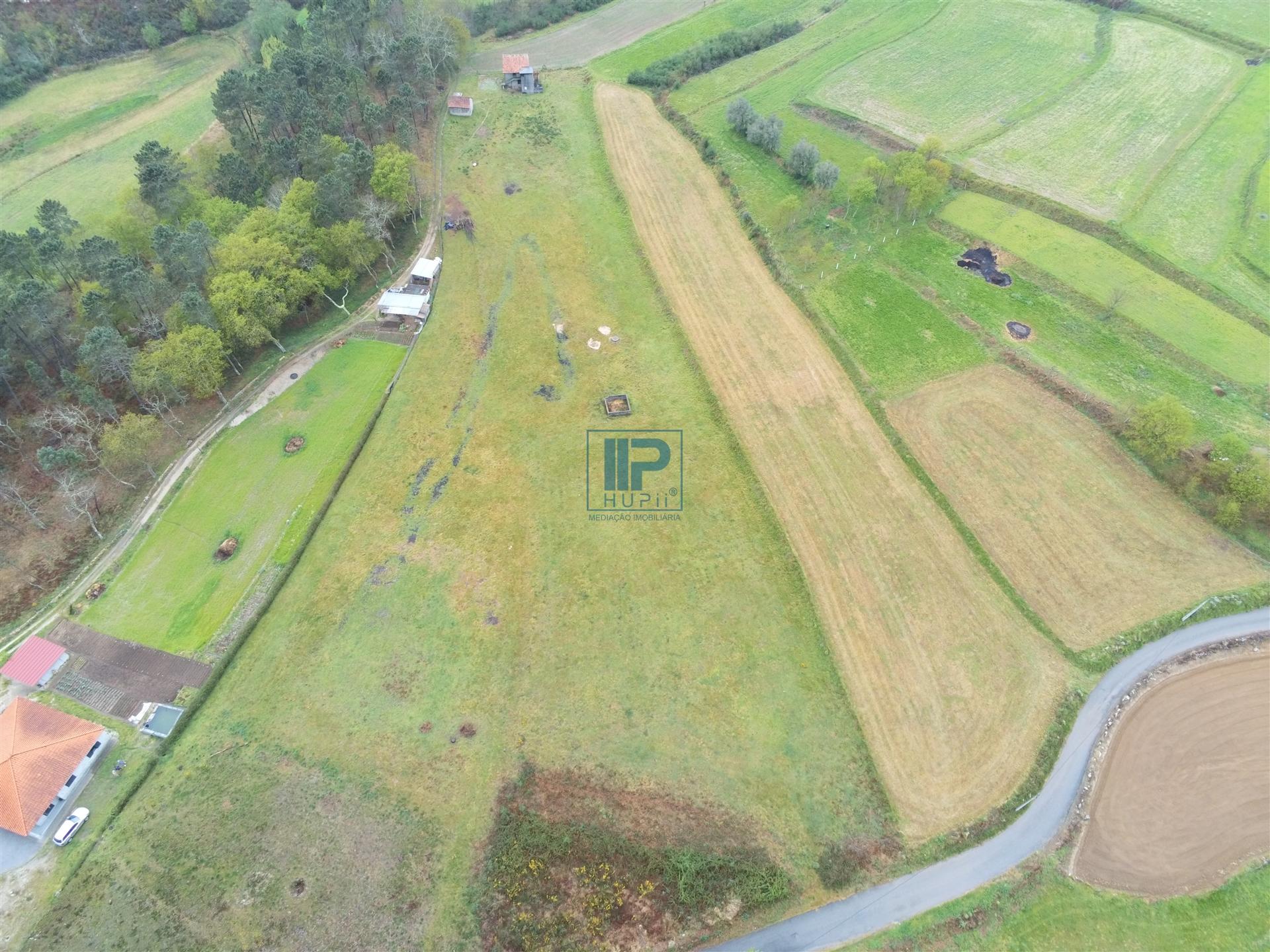 Terreno Misto  Venda em Borba de Montanha,Celorico de Basto