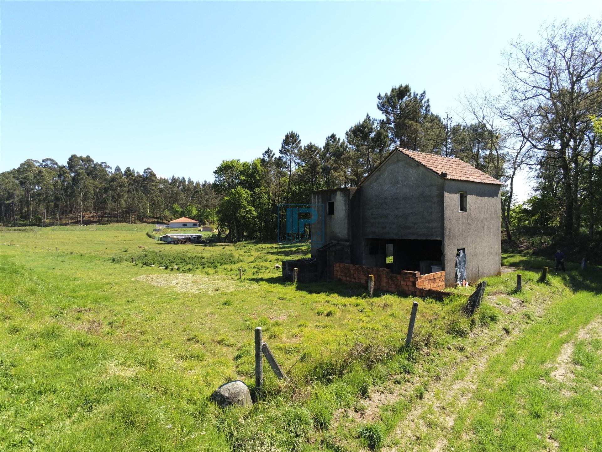 Moradia para Restaurar T3 Venda em Borba de Montanha,Celorico de Basto