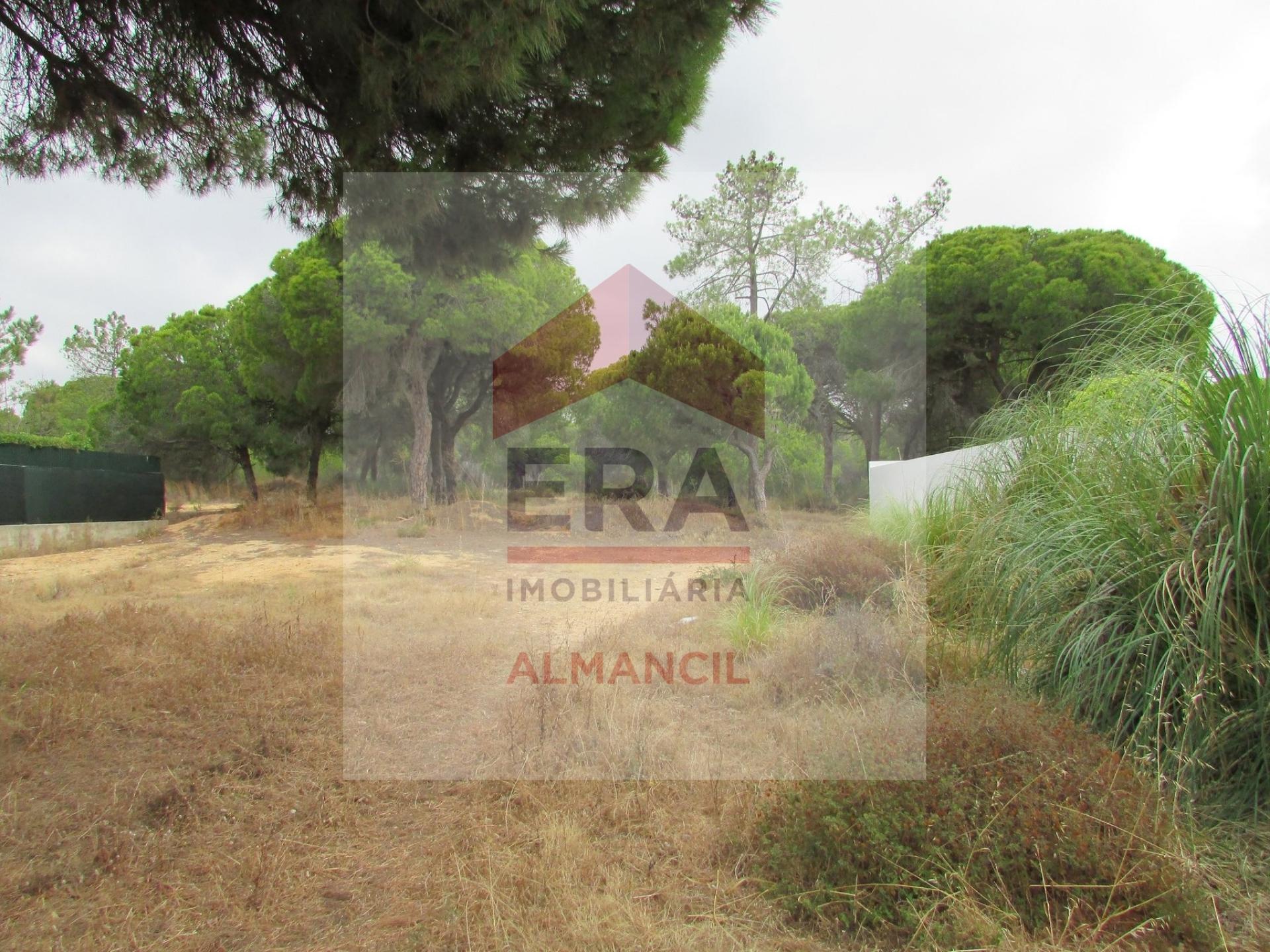 Terreno Para Construção  Venda em Almancil,Loulé