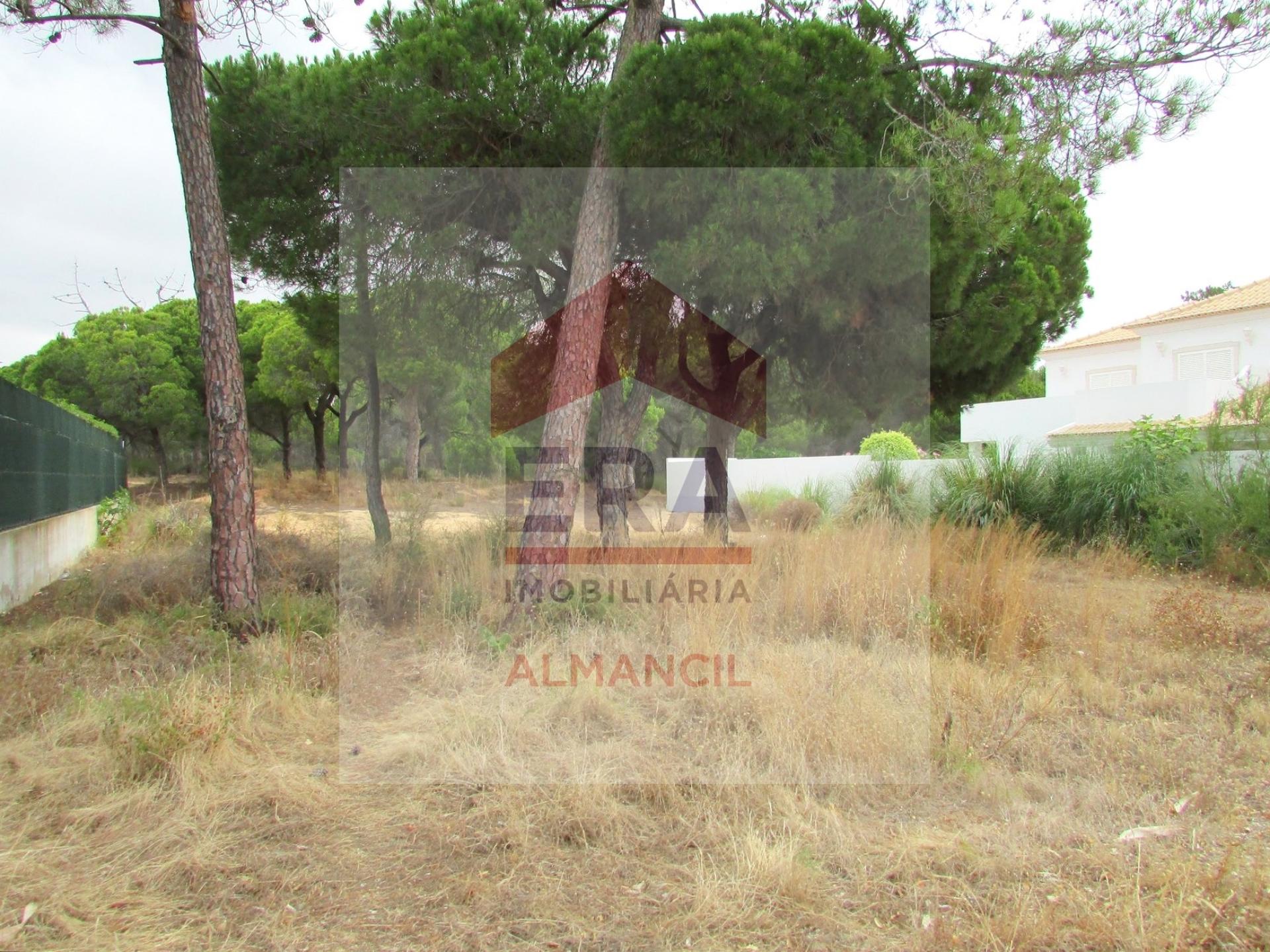 Terreno Para Construção  Venda em Almancil,Loulé