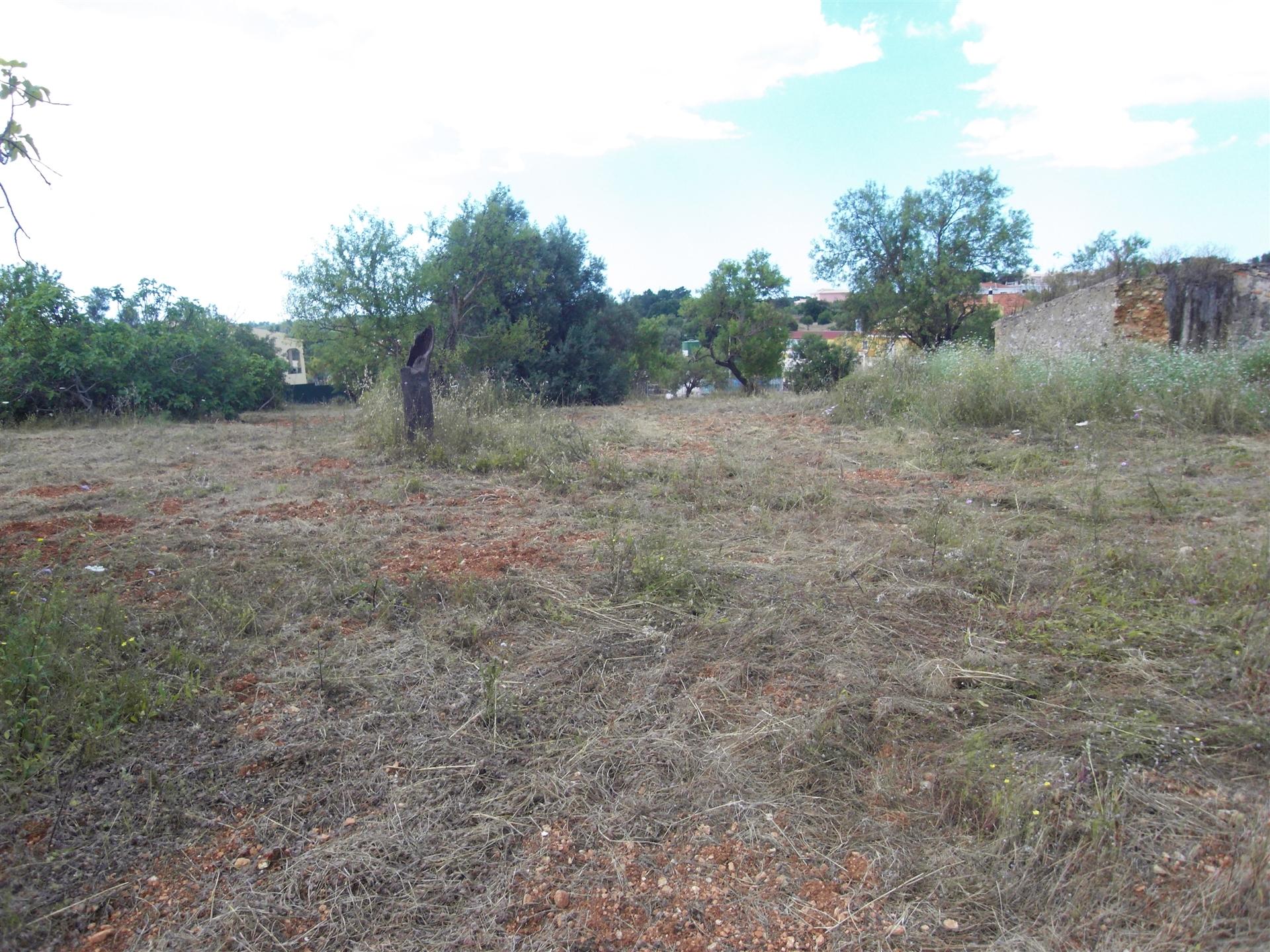 Loteamento  Venda em Almancil,Loulé