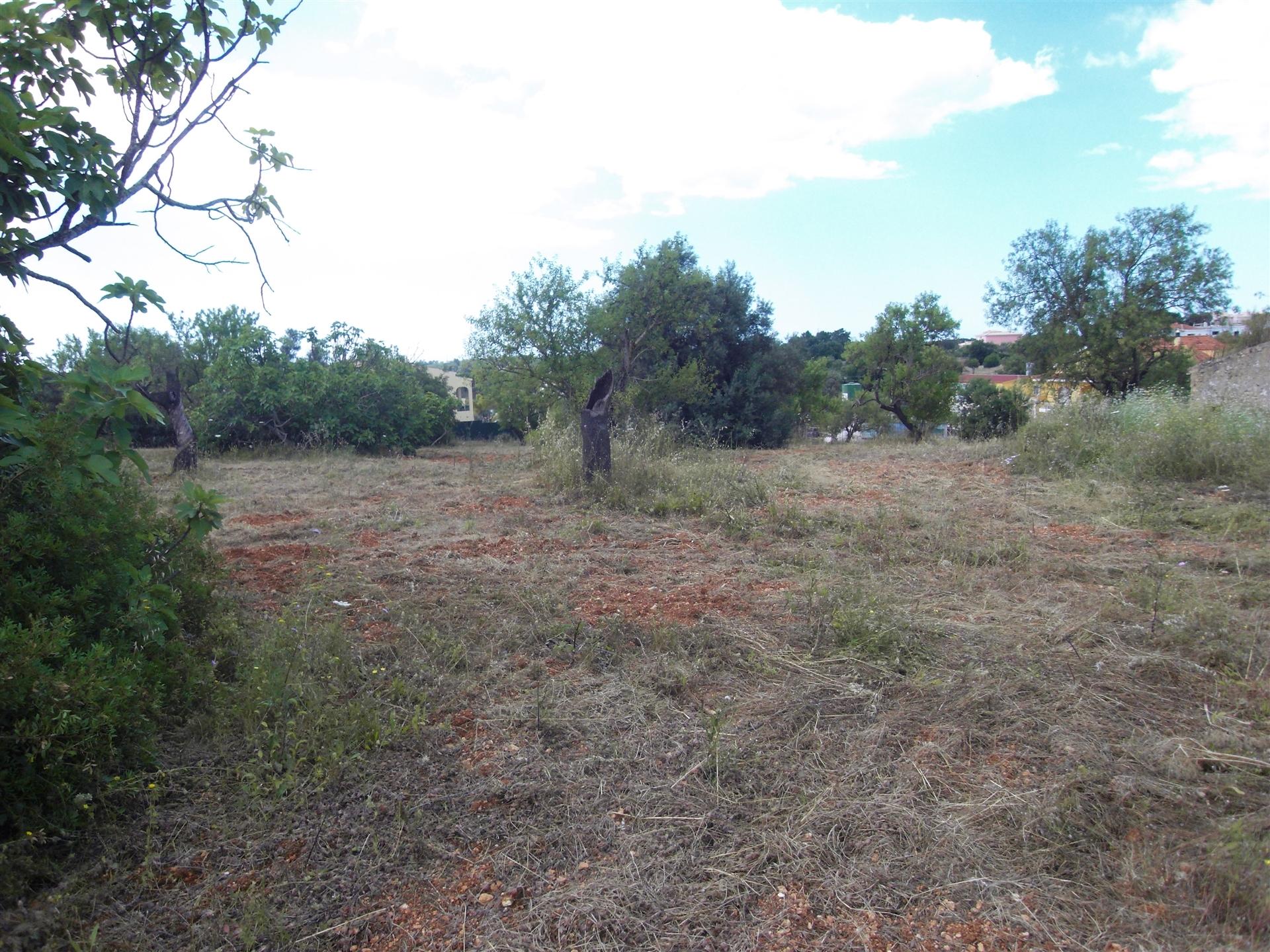 Loteamento  Venda em Almancil,Loulé