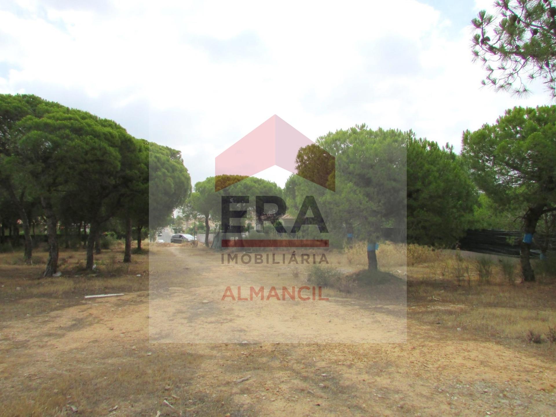 Terreno Para Construção  Venda em Almancil,Loulé