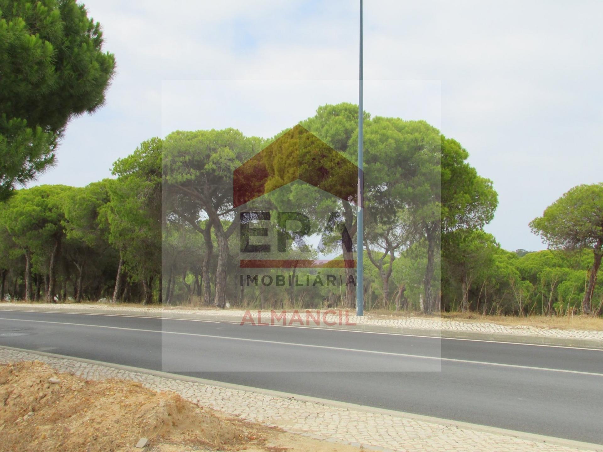 Terreno Para Construção  Venda em Almancil,Loulé