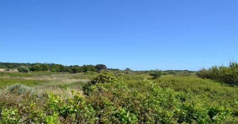 Terreno Rústico  Venda em Almancil,Loulé