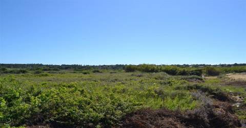 Terreno Rústico  Venda em Almancil,Loulé