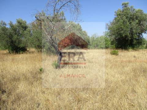 Terreno Rústico  Venda em Santa Bárbara de Nexe,Faro