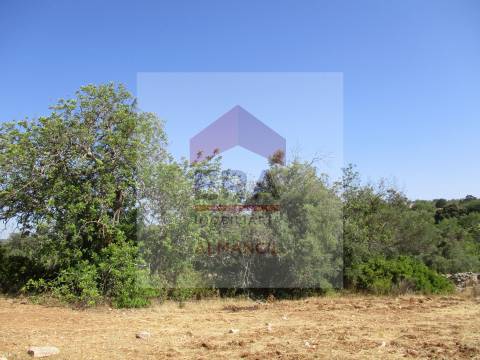 Terreno Rústico  Venda em Santa Bárbara de Nexe,Faro