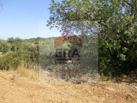 Terreno Rústico  Venda em Santa Bárbara de Nexe,Faro