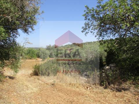 Terreno Rústico  Venda em Santa Bárbara de Nexe,Faro