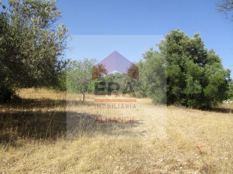 Terreno Rústico  Venda em Santa Bárbara de Nexe,Faro