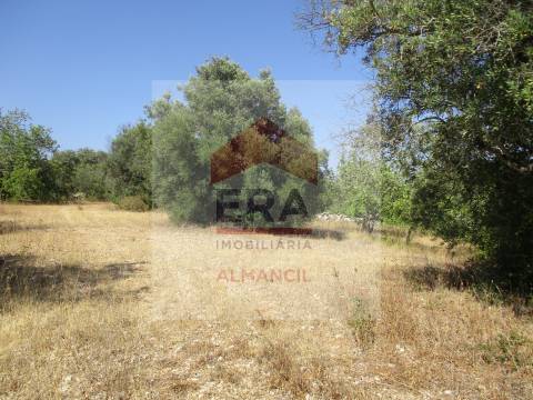 Terreno Rústico  Venda em Santa Bárbara de Nexe,Faro