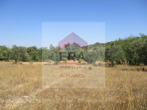 Terreno Rústico  Venda em Santa Bárbara de Nexe,Faro