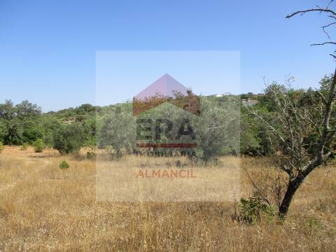 Terreno Rústico  Venda em Santa Bárbara de Nexe,Faro