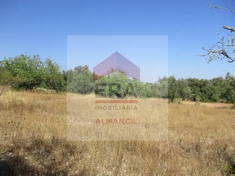 Terreno Rústico  Venda em Santa Bárbara de Nexe,Faro